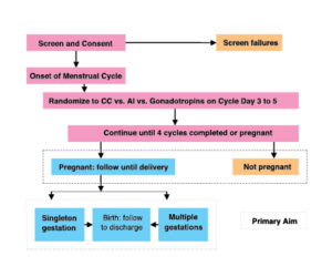 Advancing Safer, More Cost-effective Fertility Treatment Options for ...