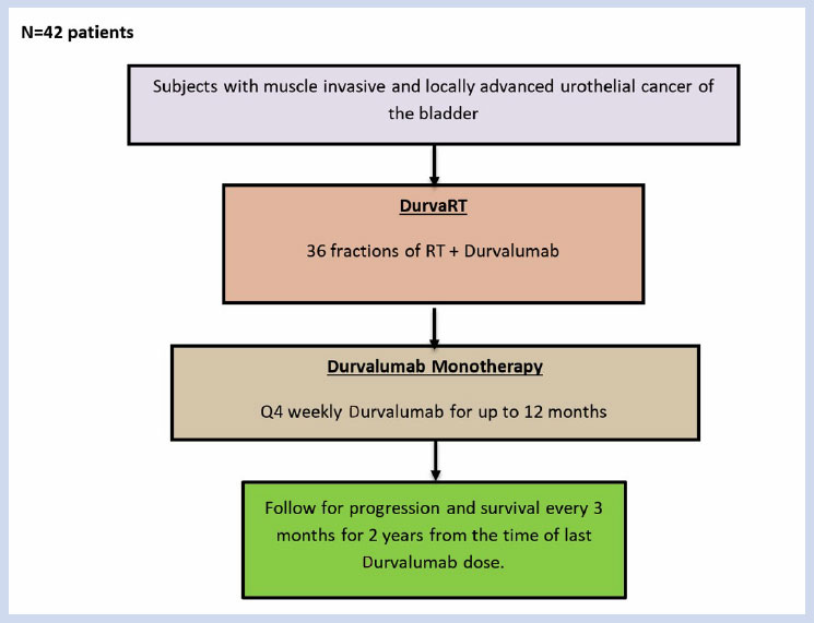 Overall study schema for Concurrent Durvalumab and Radiation Therapy
