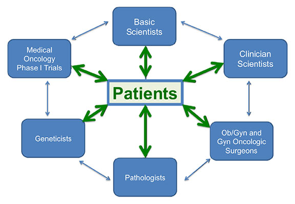 Schematic of gynecologic malignancies group, with the patient at the center.