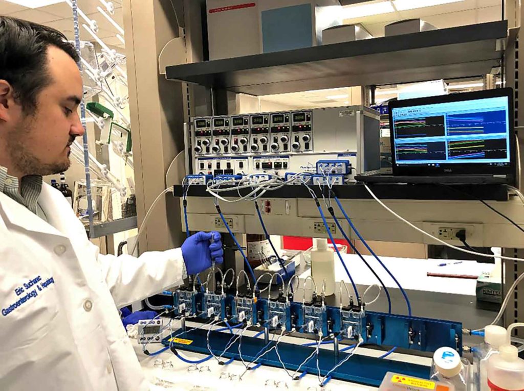Eric Suchanec, research technician, is working with human intestinal cells mounted in an Ussing chamber system. The system has six chambers, a multichannel voltage/current clamp, and a screen for displaying data and results.